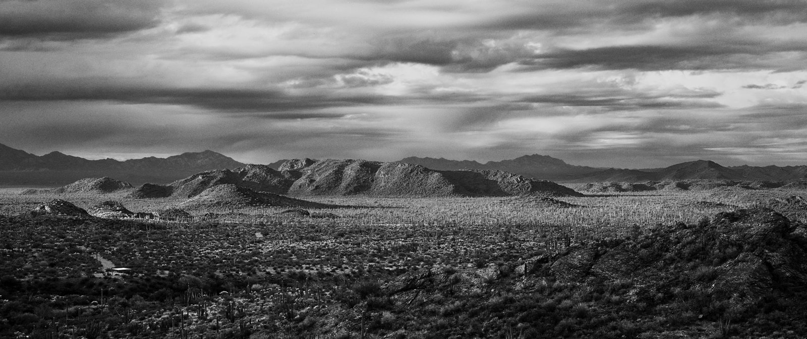 View of OrganPipe Nat Monument at sunup looking west