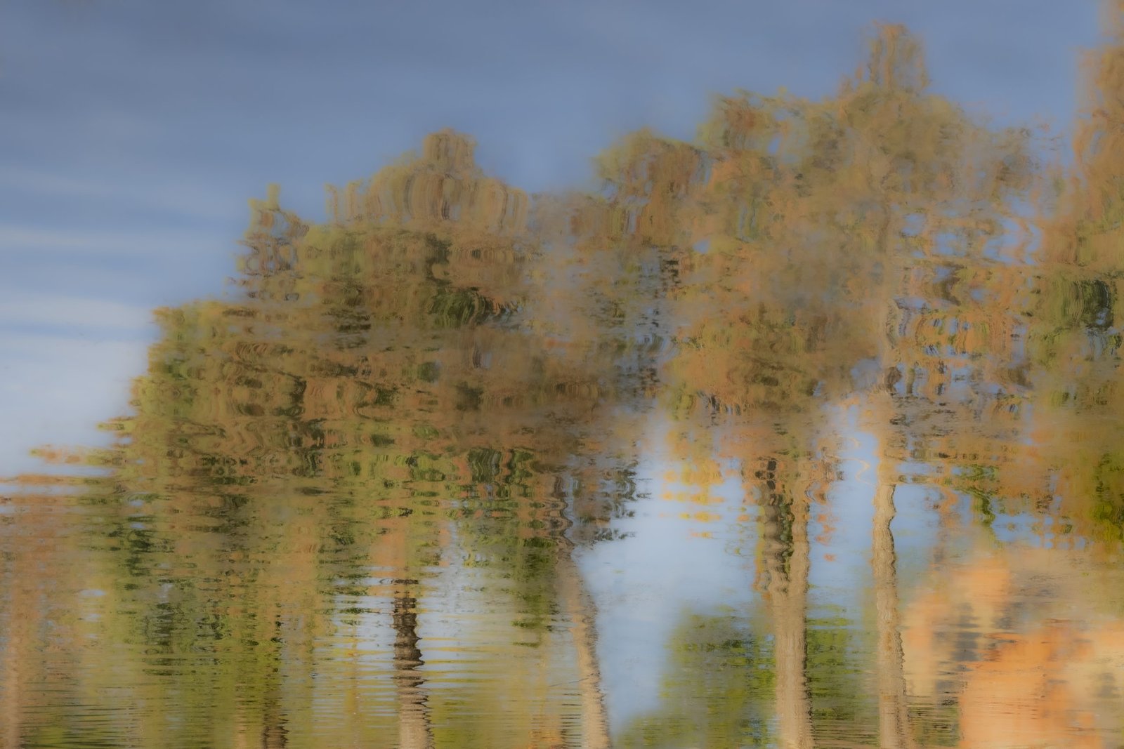 A Reflection on Autumn