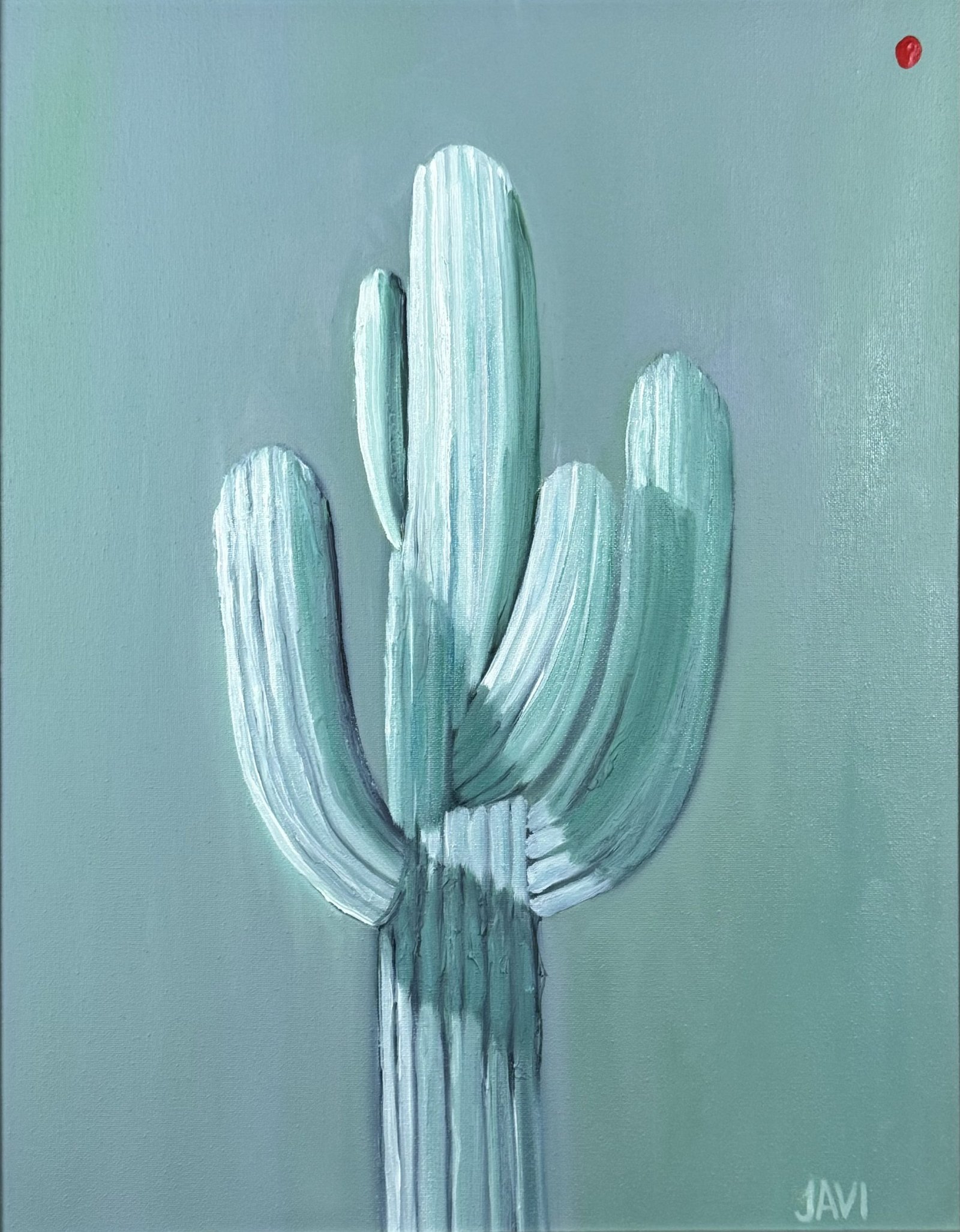 Saguaro In The Spotlight