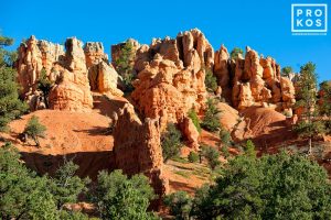 Red Canyon Landscape II