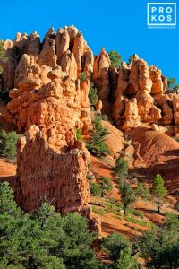 Red Canyon Landscape III