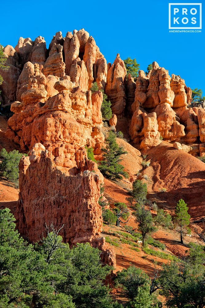 Red Canyon Landscape III