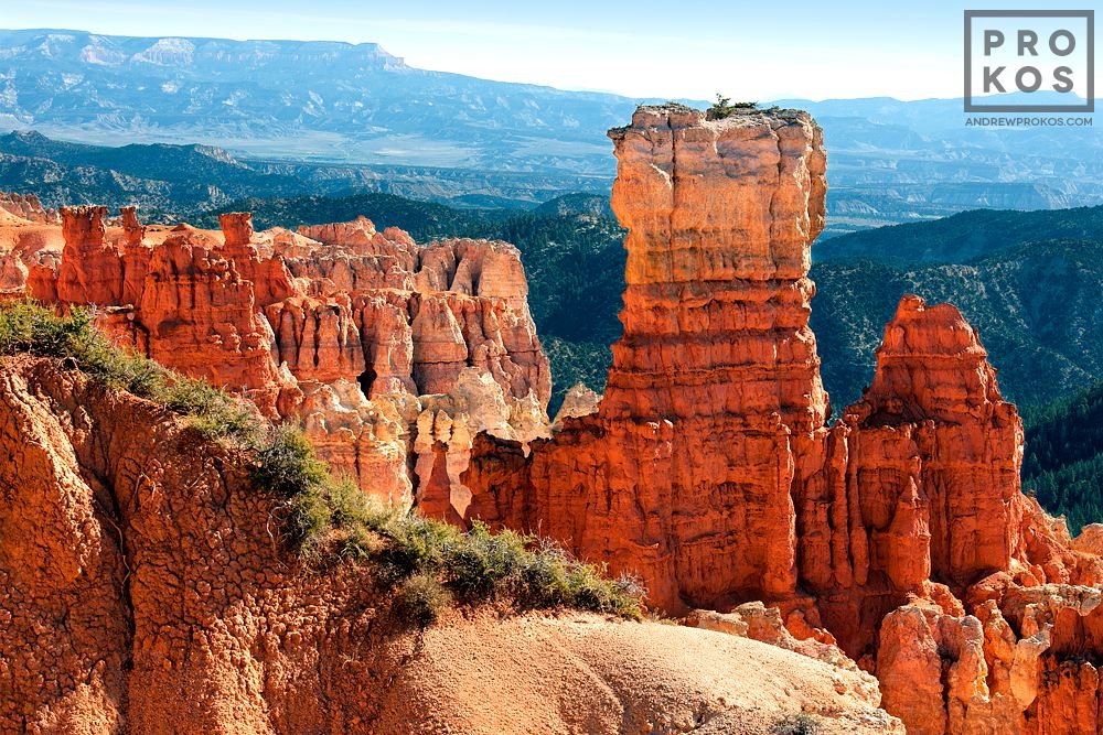 Bryce Point Landscape II