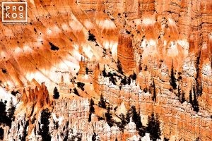 Bryce Canyon Landscape II
