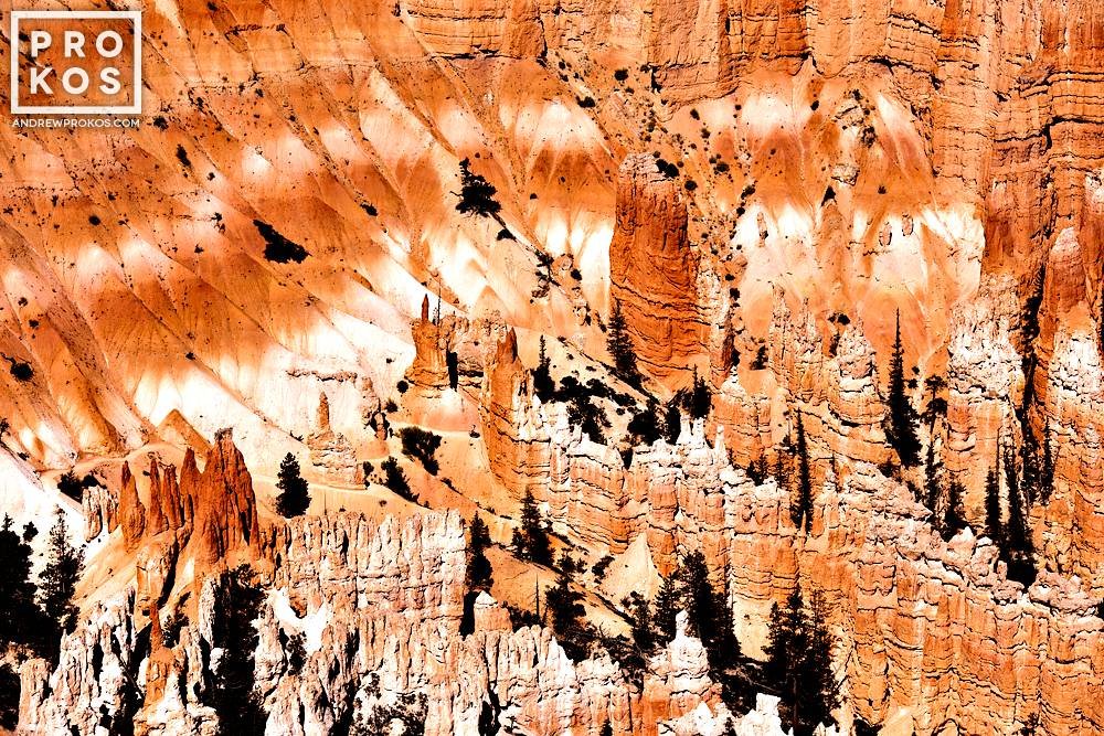 Bryce Canyon Landscape II