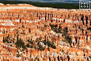 Bryce Canyon Landscape I