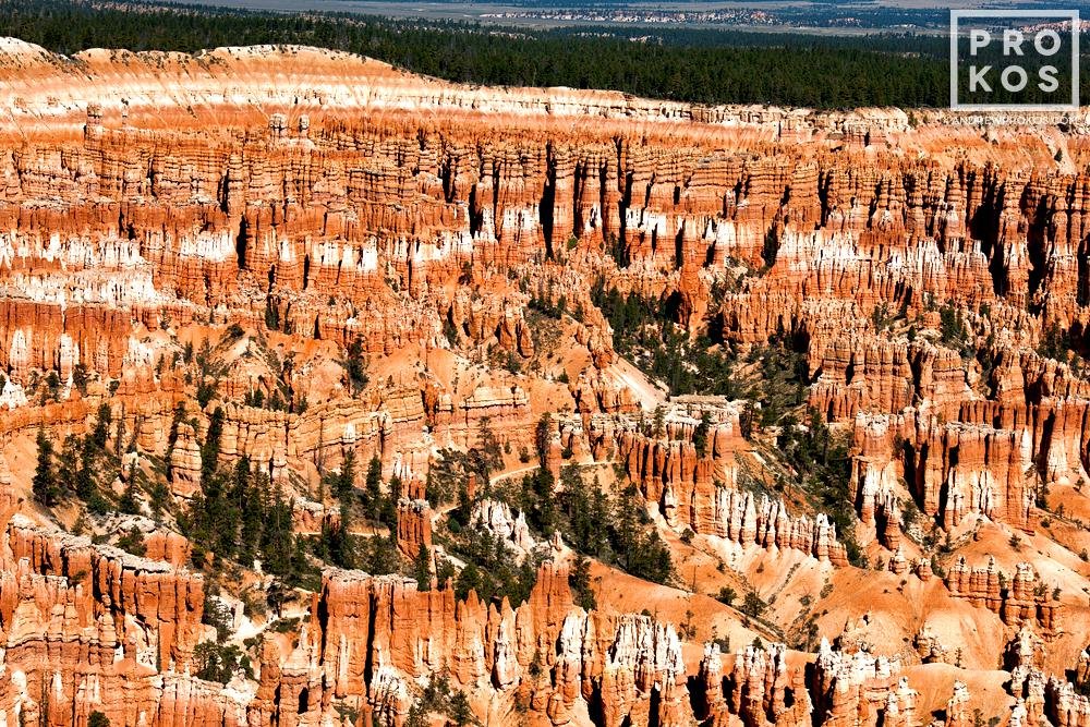 Bryce Canyon Landscape I