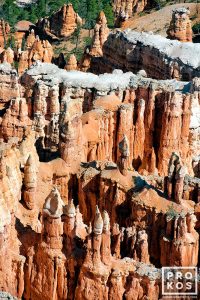 Bryce Canyon Hoodoos II