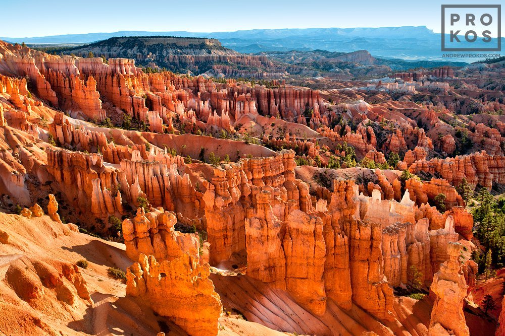 Bryce Canyon Landscape III