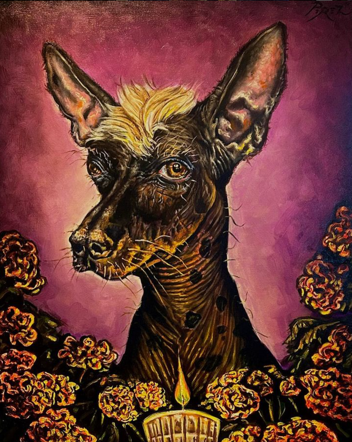 “El Acompañante/ The Companion”