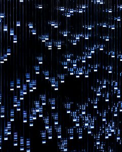 Digital Fall 1, 2, & 3