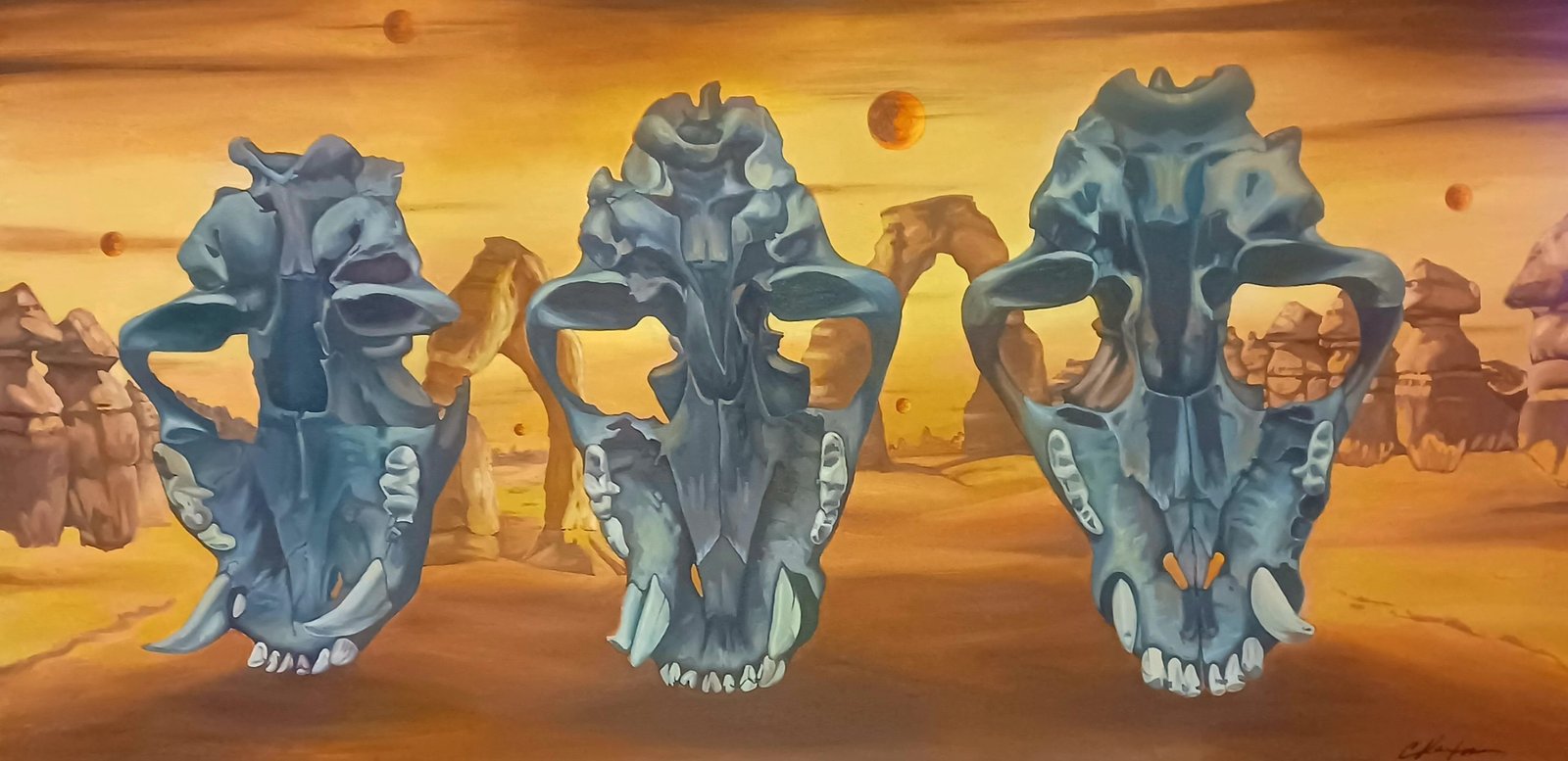 Fossils in the Desert