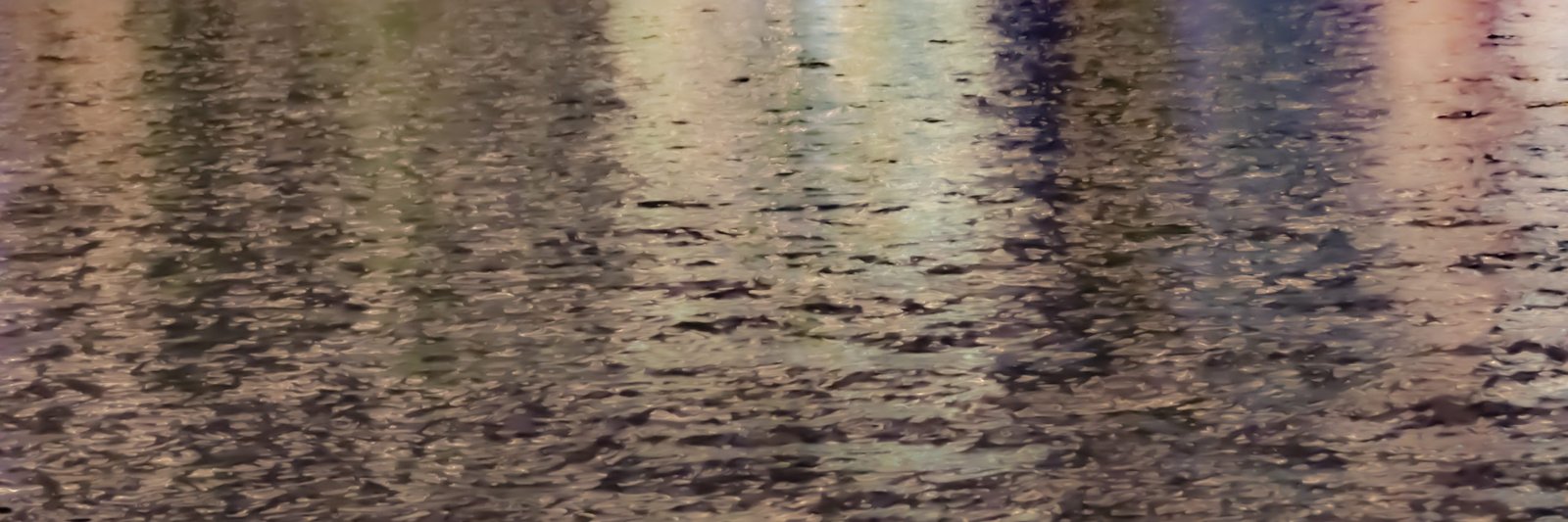 Impression in the Park