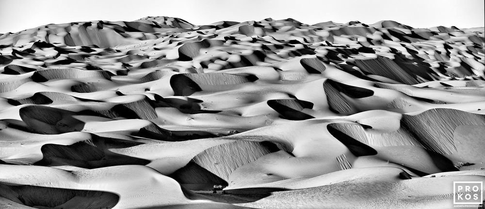 Dunescape #9