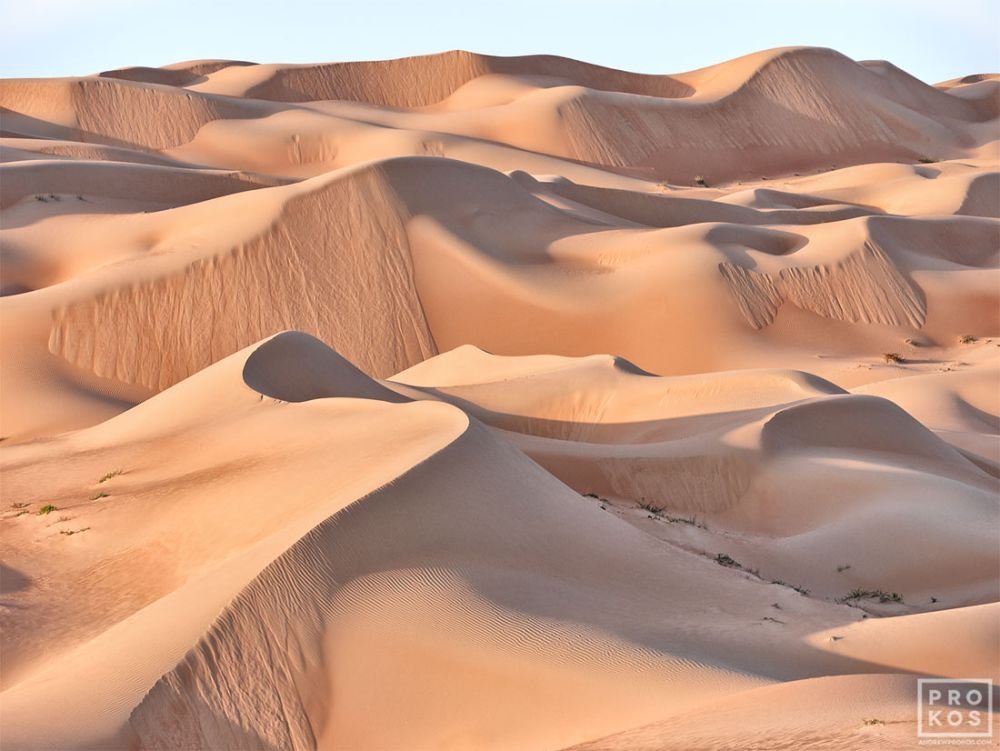 Dunescape #1
