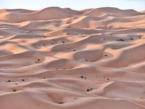 Dunescape #5