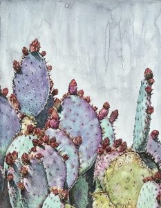 Santa Rita Prickly Pear