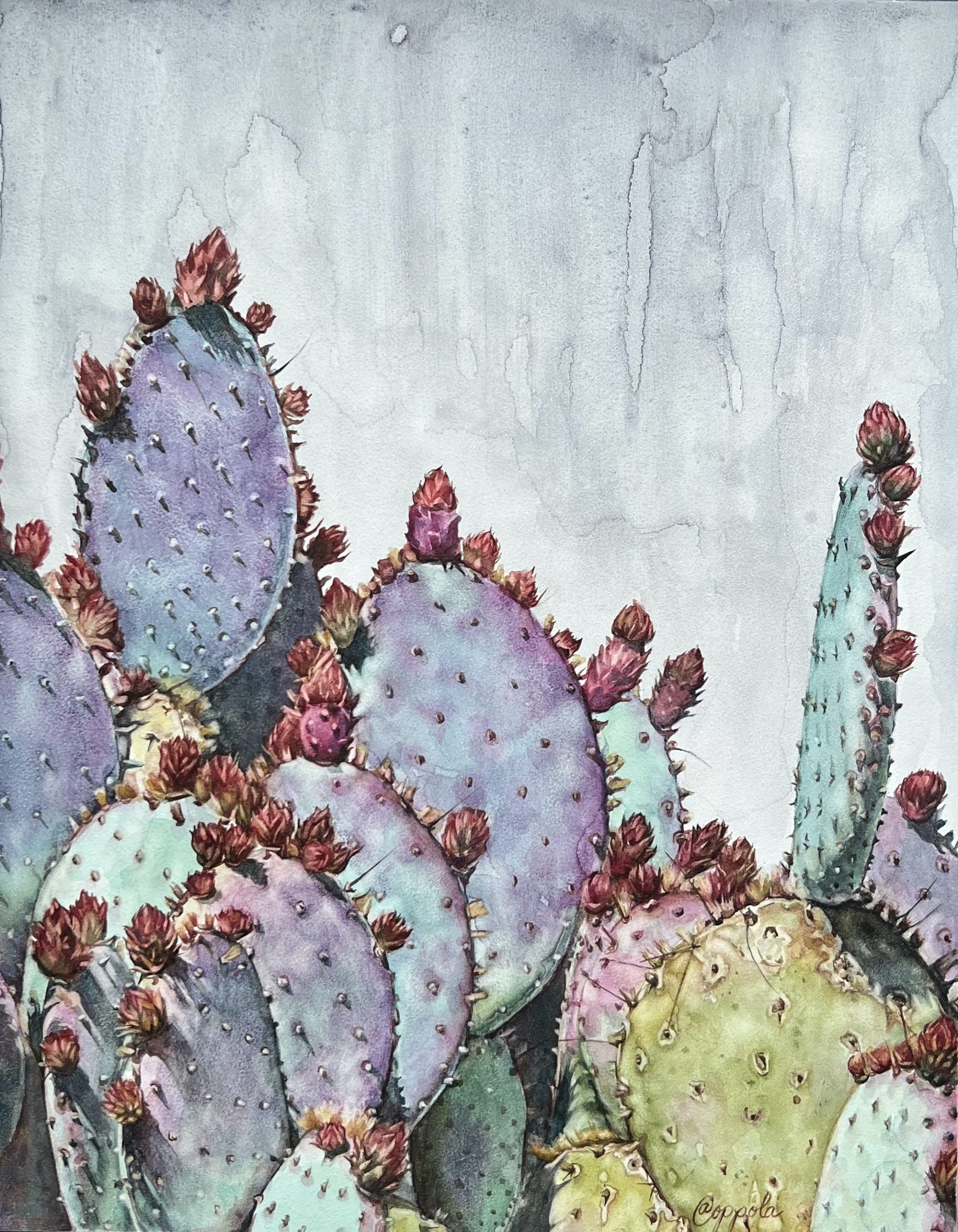 Santa Rita Prickly Pear