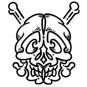 SkULL IcON