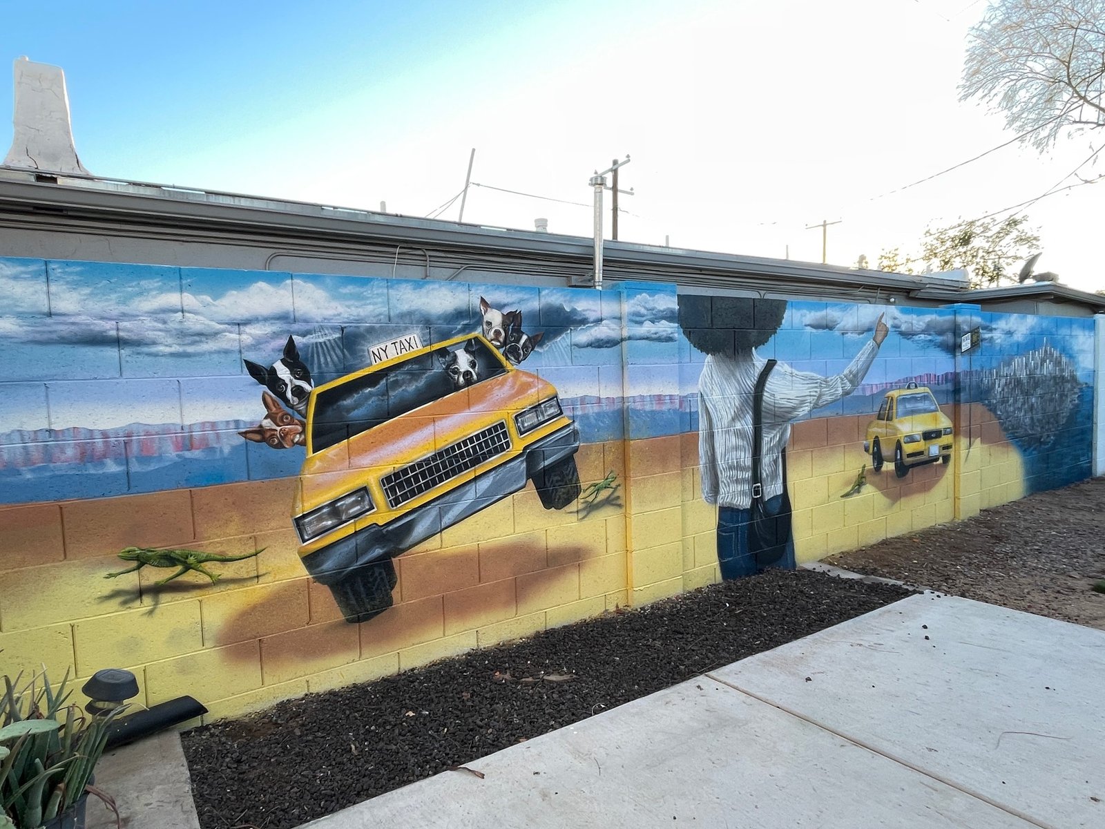 COCO LEAVES THE DESERT