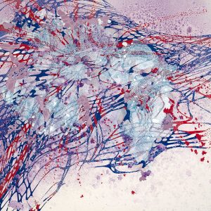 A Messy Cloud of Probability