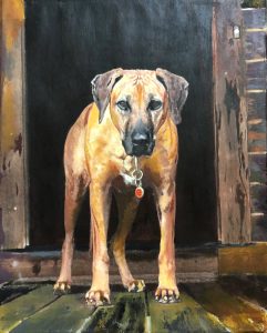 NEIL COYNE profile image