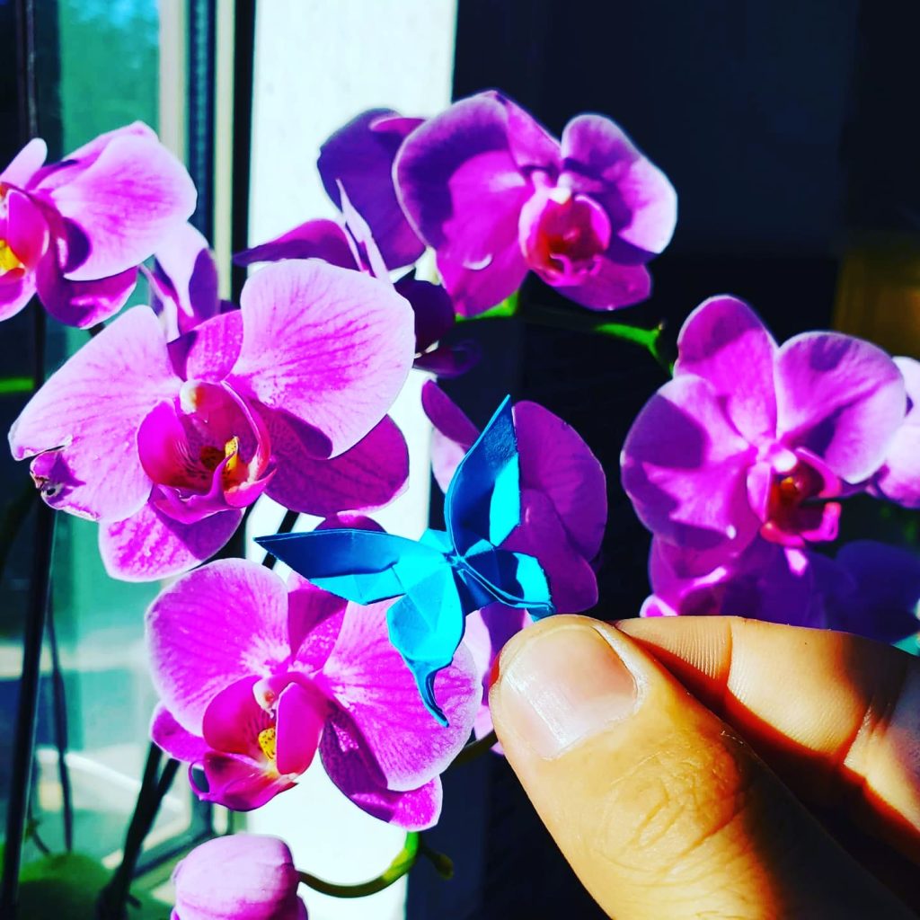 Source: wordpress-featured Virgile Valente – Oubaitori Origami profile image