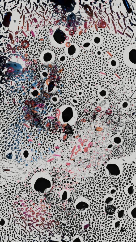 Source: wordpress-featured Casey Farina profile image