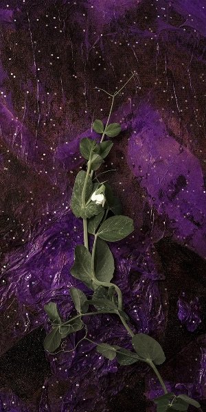 Committed To Peas And Calm, A New Hope