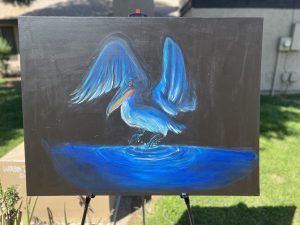 Blue Pelican