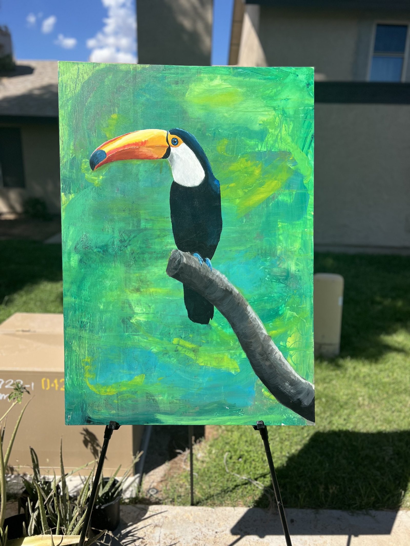 Toucan on Branch