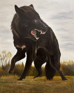 Nothing to Apologize For