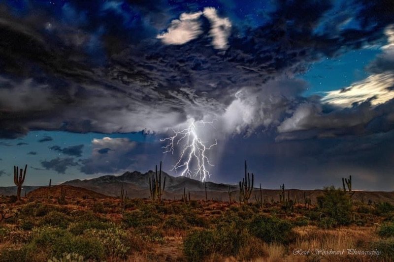 The Majestic Monsoon