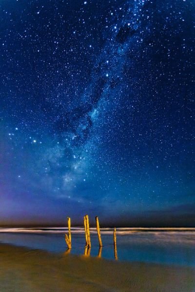 Star Gazing in Dunedin