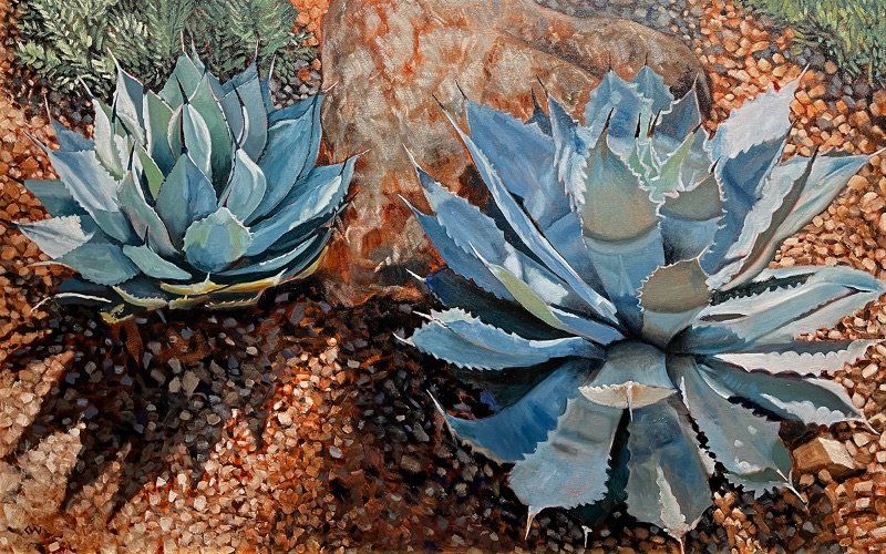 Two Agaves in the Sun
