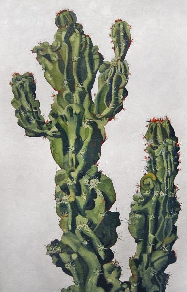 Cactus in White #2