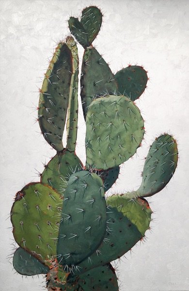 Cactus in White #1
