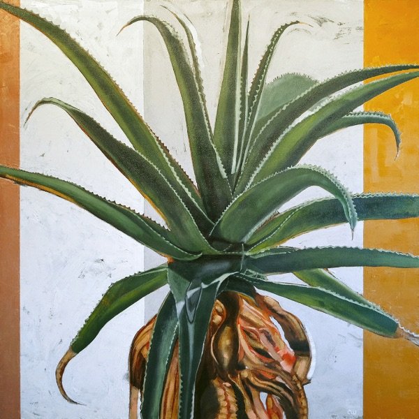 Agave with Stripes #1