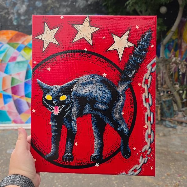 Sabo Cat