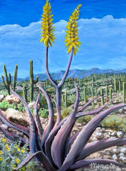Aloe Agave