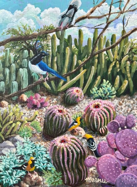 Birds of the Sonoran Desert