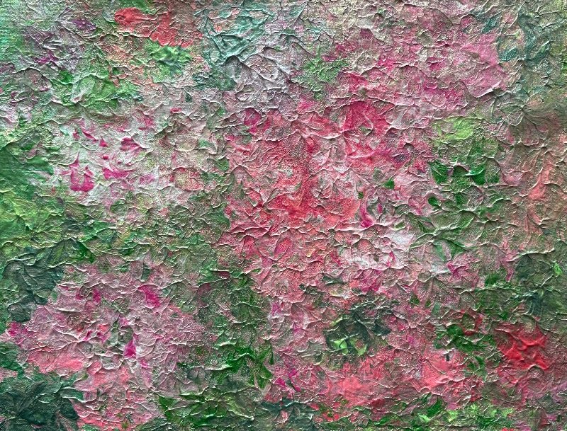 Pink Hydrangeas