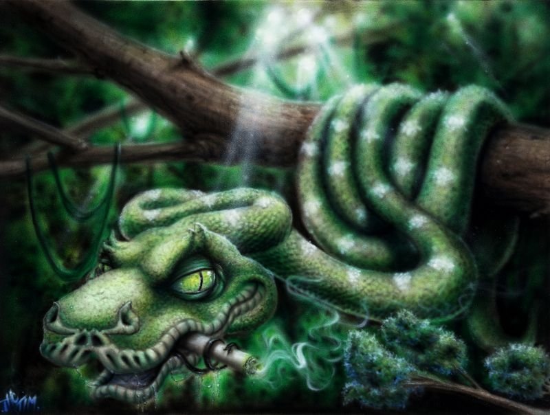 Bill Boa