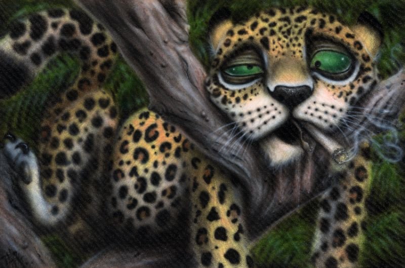 Jerry Jaguar